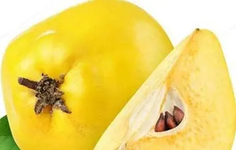 از خواص میوه «به» چه می دانید