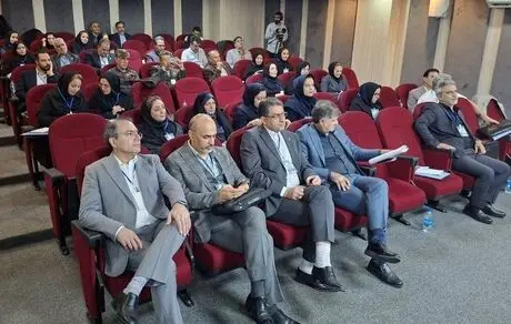 همایش دانش‌افزایی طرح جدید بیمه مستمری همای ایران برگزار شد
