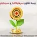 بیمه تعاون؛ شرکتی سرمایه پذیر و سرمایه گذار