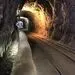 نخلک؛ در مسیر توسعه