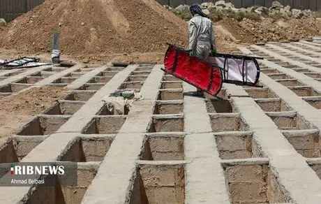 دانش آموز 7 ساله را که نمی‌توان تور بهشت زهرا گردی برد!