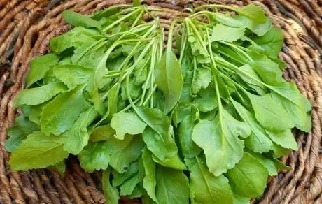 کاهش وزن با مصرف این سبزی در سه سوت