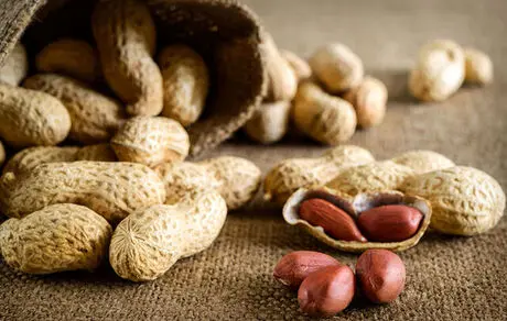 با مصرف بادام زمینی روند پیری را آهسته کنید