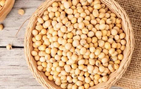 مصرف این خوراکی عمر شما را زیاد می‌کند
