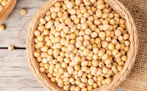 مصرف این خوراکی عمر شما را زیاد می‌کند