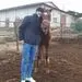 اسب زیبای سردار آزمون + عکس