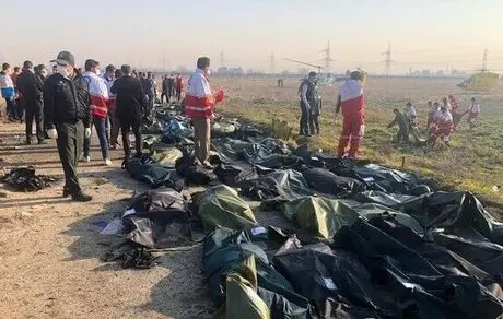 اظهارات مقام دولتی که ۲ فرزندش را در سقوط هواپیما از دست داد