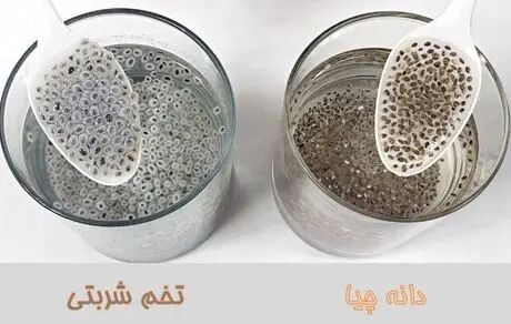 تخم شربتی و دانه چیا