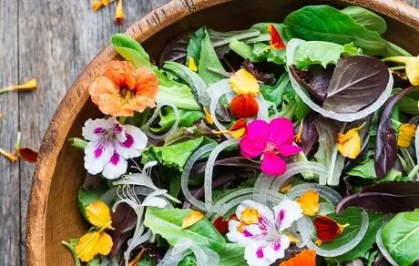 گل های خوراکی مفید بر بدن