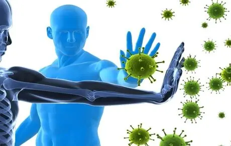 این خوراکی ها سیستم ایمنی را تقویت میکنند