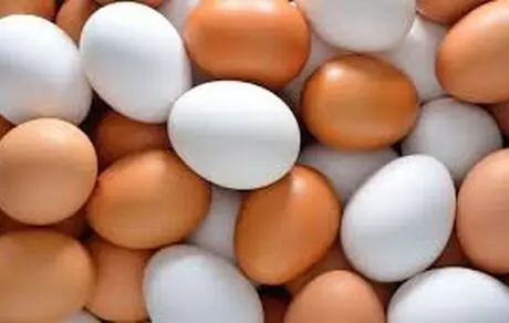 تخم مرغ ۱۱۰ هزار تومان می‌شود
