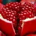 پیامک های تبریک مخصوص شب یلدا + عکس نوشته