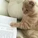 گربه کتاب خوان بهنوش طباطبایی + عکس