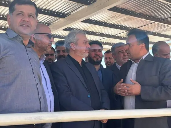 معدن سرب و روی مهدی آباد نماد پروژه زنده و درحال پیشرفت 