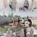 به همت گروه جهادی پایگاه شهید سلیمانی فولاد سنگان؛ برگزاری هشتمین اردوی جهادی در شهرستان خواف