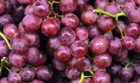 خوراکی هایی که روند پیری را کند می کنند