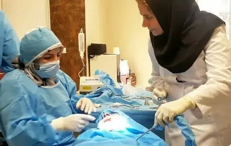 الگوبرداری این‌بار از لمینت دندان سلبریتی‌ها!