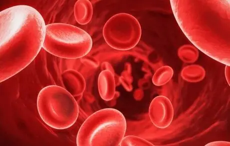 پیشگیری از غلظت خون با  ۷ ماده غذایی