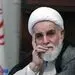 ناطق‌نوری می‌توانست نقش بزرگ‌تری را برای اصولگرایان ایفا کند