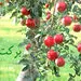 عوامل بی برکتی مالمان را بشناسیم!