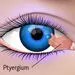 ناخنک چشم چیست؟