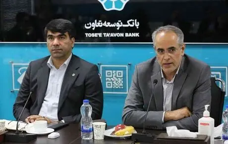 شرکت های تابعه بانک توسعه تعاون باید به عنوان بازوهای تخصصی و اجرایی بانک باشند 