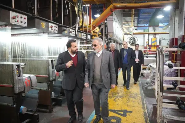 مدیرعامل بانک صنعت و معدن از چندین طرح صنعتی در این استان بازدید کرد