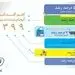 از رشد ۱۵۰ درصدی سود پگاه تا رکورد شکنی صادرات و تولید