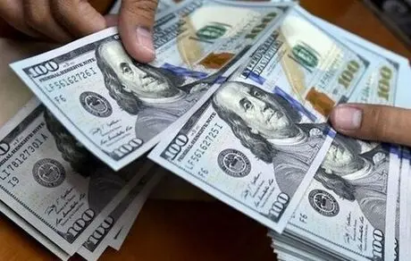 ارز ۴۲۰۰تومانی برداشته شود قیمت مرغ ۳۰هزار تومان می‌شود