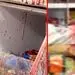 درگیری اراذل و اوباش  بخاطر کل کل در فضای مجازی/دست یک نفر قطع شد