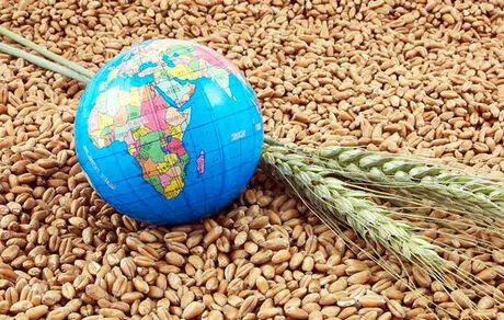 روسیه برای گرسنگی جهانی نقشه کشیده است