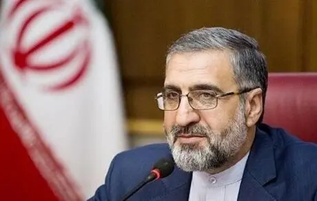 واکنش سخنگوی قوه قضائیه در خصوص فرار بابک زنجانی