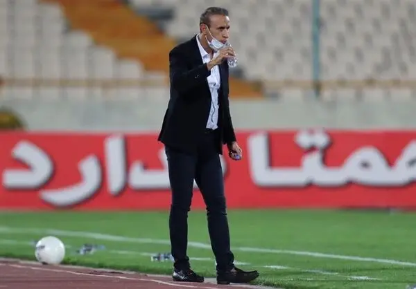غیبت گل محمدی در نشست خبری