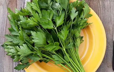 با جعفری و خواصش بیشتر آشنا شوید 
