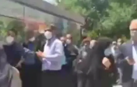 صف مرغ در مشهد