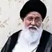 علم الهدی: معطل چه هستید؟ طرح صیانت را زودتر تصویب کنید