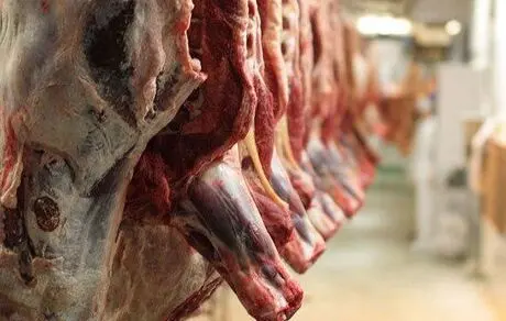 ماجرای استفاده از گوشت الاغ در هتل‌ ۵ ستاره +واکنش وزارت بهداشت