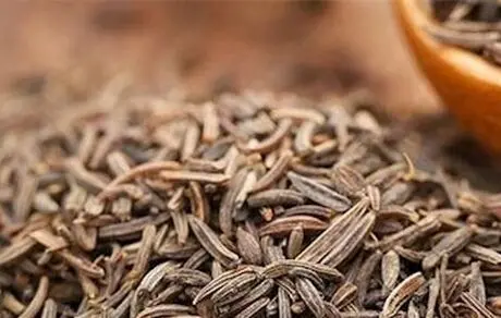 بی اشتهایی فرزندتان را با این 2 گیاه برطرف کنید