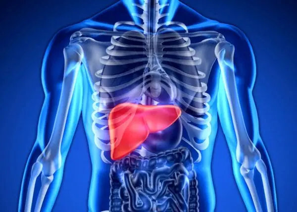 شایع‌ترین سن بروز کبدچرب 40 تا 50 سالگی است