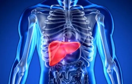 شایع‌ترین سن بروز کبدچرب 40 تا 50 سالگی است
