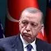 اردوغان برای دهمین بار «پدربزرگ» شد!