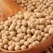 خوردن سویا باعث عقیم شدن مردان می‌شود؟