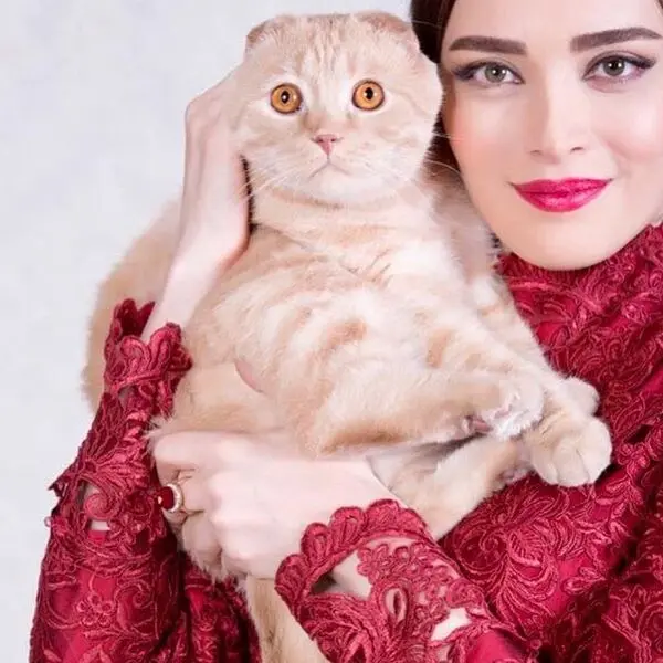 بهنوش طباطبایی گربه به بغل! + عکس