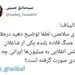 آقای قالیباف! در مقابل نماینده‌تان که مردم را سگ می‌خواند چه کردید؟ 