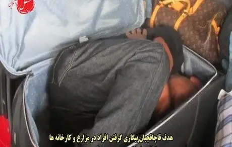 قاچاق انسان در سرزمین رویاها/ویدئو
