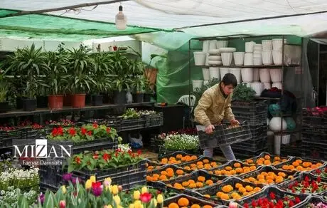 بازار گل محلاتی