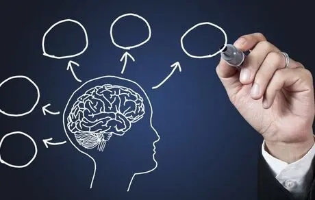 ۱۰ ماده غذایی مفید برای تقویت هوش