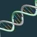 تصویربرداری سه‌بعدی با دقت یک نانومتر از DNA