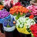 قیمت نجومی انواع گل برای روز مادر