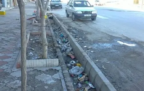 شیوع یک کار غیر فرهنگی در خیابان ها + عکس